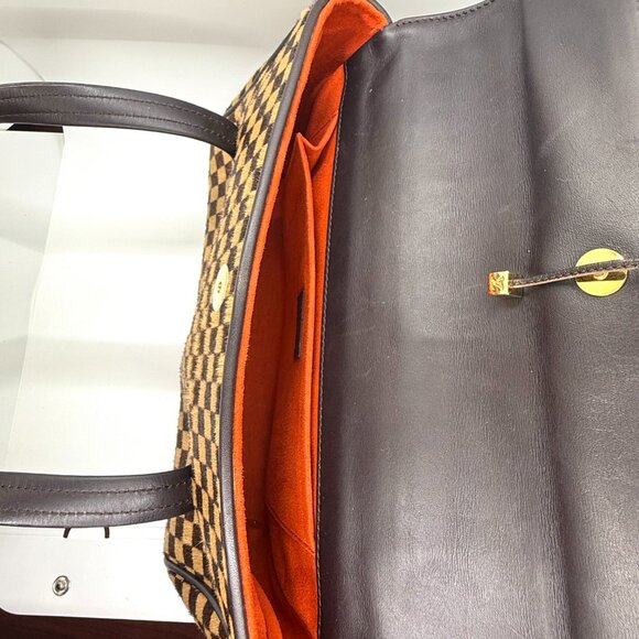 Vintage Limited Edition Louis Vuitton Damier Sauvage Lionne Pony Hair Handbag - Picture 11 of 12